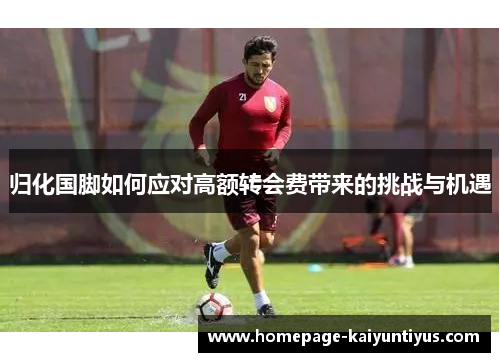 归化国脚如何应对高额转会费带来的挑战与机遇