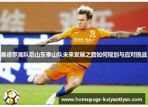 桑德罗离队后山东泰山队未来发展之路如何规划与应对挑战
