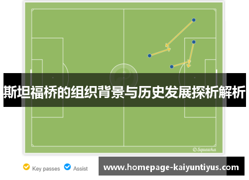 斯坦福桥的组织背景与历史发展探析解析