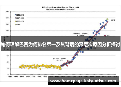 如何理解巴西为何排名第一及其背后的深层次原因分析探讨